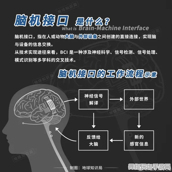 区块链游戏-全攻略-脑机接口专用版-实时更新-0428 区块链游戏-全攻略-脑机接口专用版-实时更新-0428