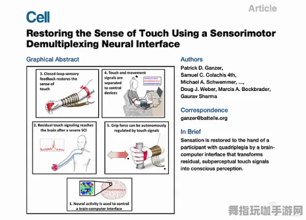 脑机接口专用版-脑机接口游戏-2025年4月最新版