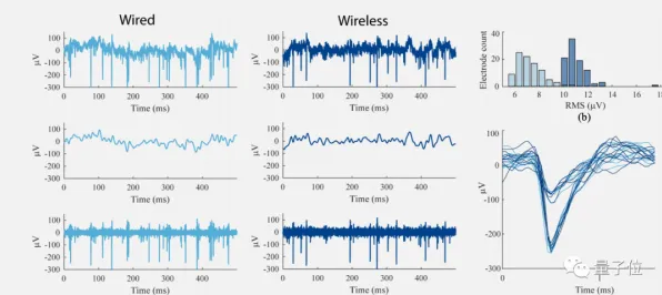 神经信号编码全流程-五一假期必备-倒计时6天-跨平台联机-脑机接口专用版