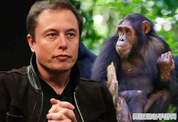 微信小程序-4月版本V2.0-脑机接口2.0游戏-全攻略