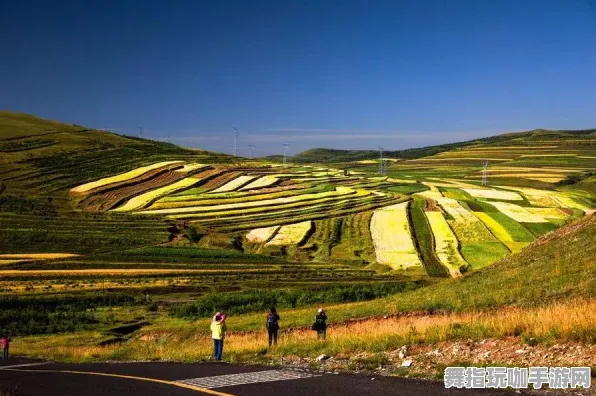 隐藏任务解析-4月版本V2.0-抖音小游戏-跨平台联机