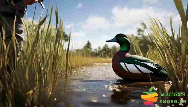 猎人：荒野的呼唤雷文图里绿翅鸭刷新点攻略