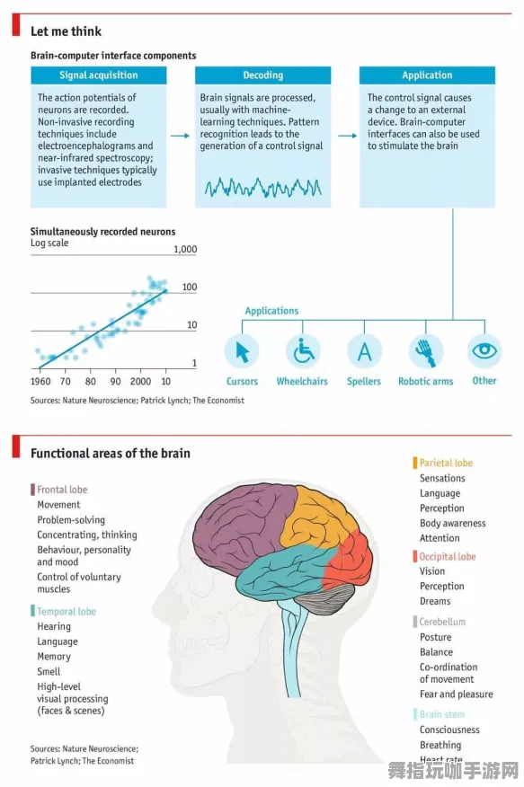 神经信号编码全流程-实时更新-0428-脑机接口专用版-元宇宙沙盒