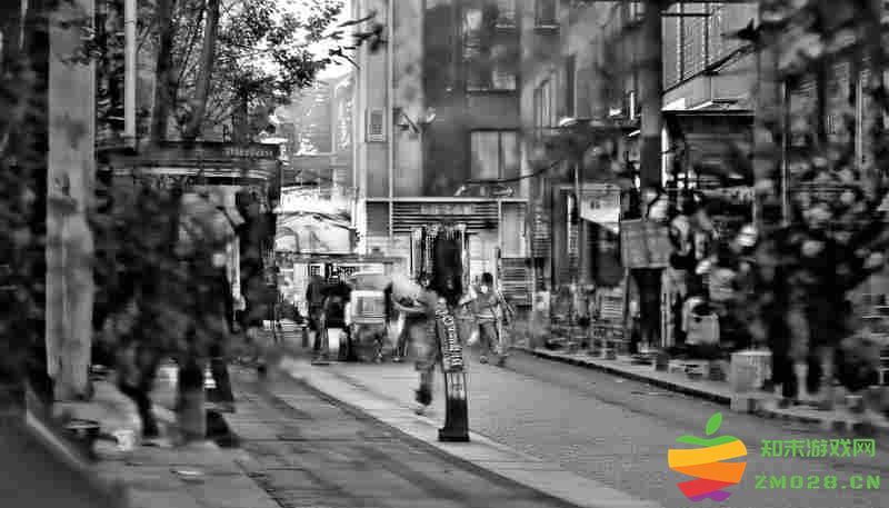 露玛岛辣椒培育系统深度优化秘籍