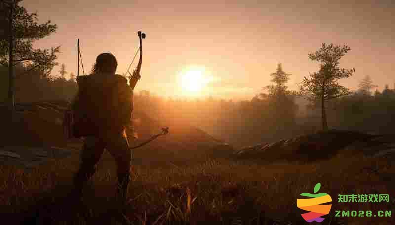 猎人：荒野的呼唤阿罗约郊狼最佳时段攻略