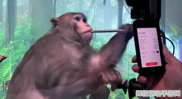 脑机接口专用版-跨平台联机-4月版本V2.0