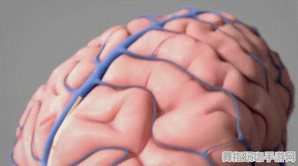 4月版本V2.0-跨平台联机-脑机接口专用版