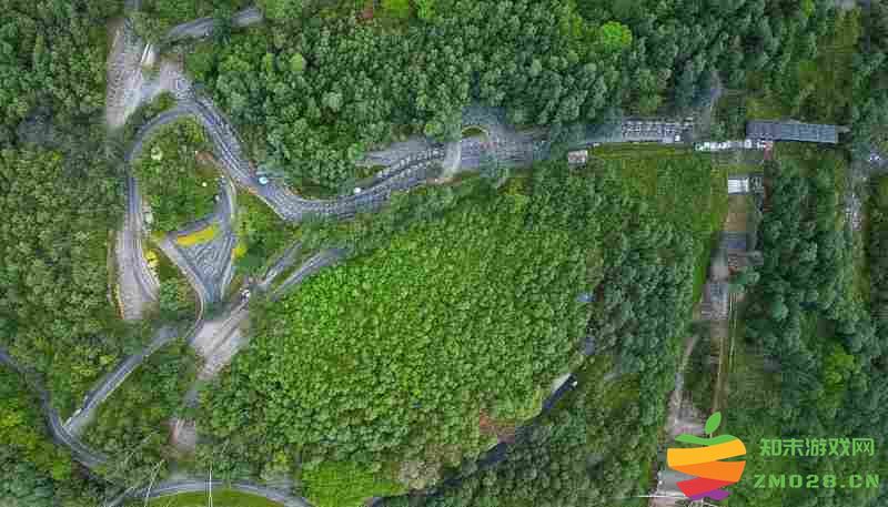 泰拉瑞亚风车建造全攻略：材料收集与搭建技巧