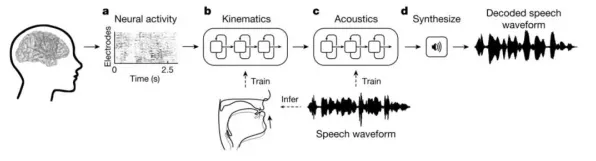 五一假期必备-倒计时6天-神经信号编码全流程-脑机接口游戏-淘宝互动