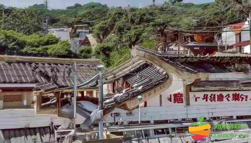 怪物猎人：荒野重生存能力强化与装填技巧详解