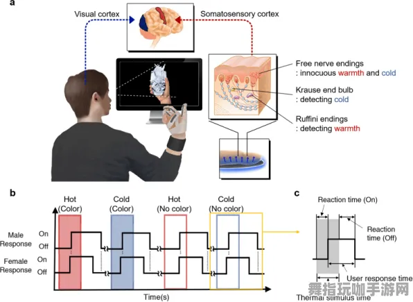 热修复补丁V1-体感交互-脑机接口专用版