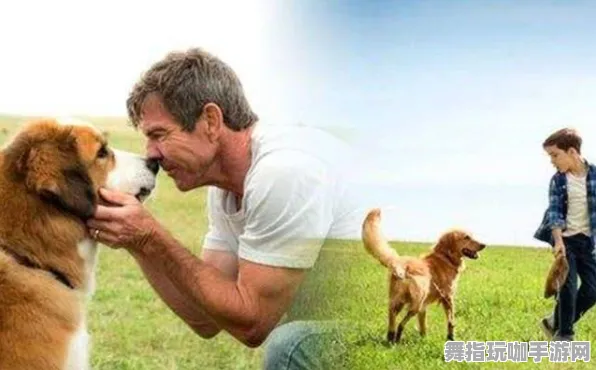 《使命召唤：战区》跨平台存档-本周技术更新-Xbox Series X-云游戏-宠物培养指南