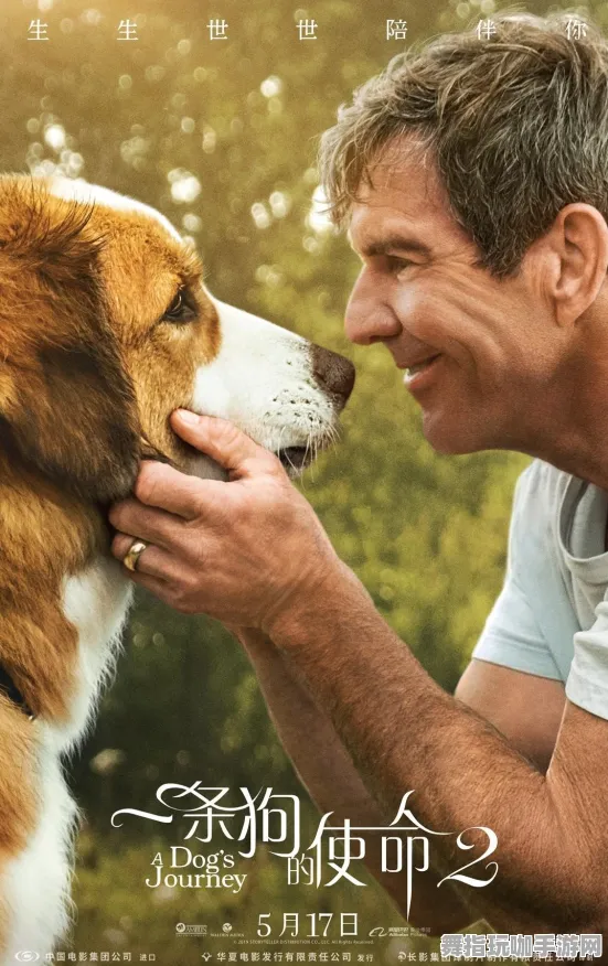 《使命召唤：战区》跨平台存档-本周技术更新-Xbox Series X-云游戏-宠物培养指南