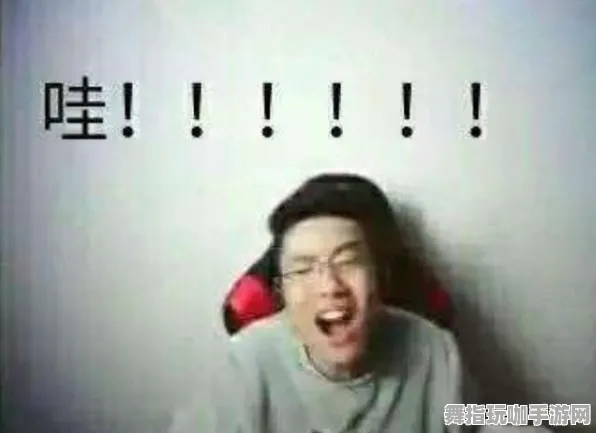 《动物森友会》外设设置-暑期必玩-跨平台联机-卡牌对战-进阶]神经编码教程（本内容仅限技术研究）