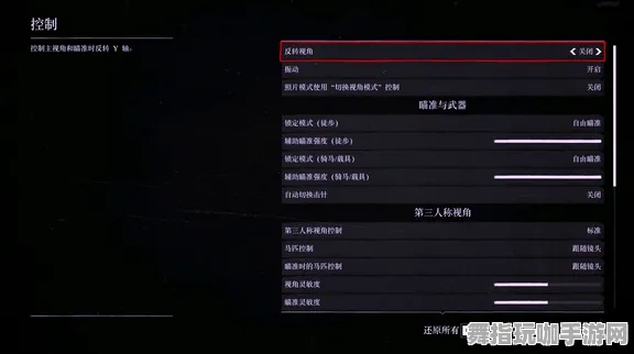 《荒野大镖客2》外设设置-2025春季最新优化-Linux专属-音游