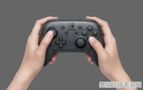 《阴阳师》手柄适配-今日热修V1.2-任天堂Switch-音游