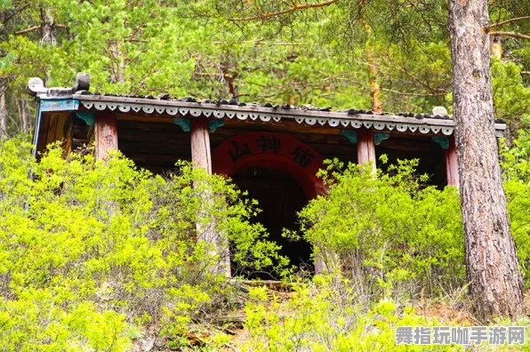 《率土之滨》隐藏成就-实时更新-每日热修-网页端-开放世界RPG