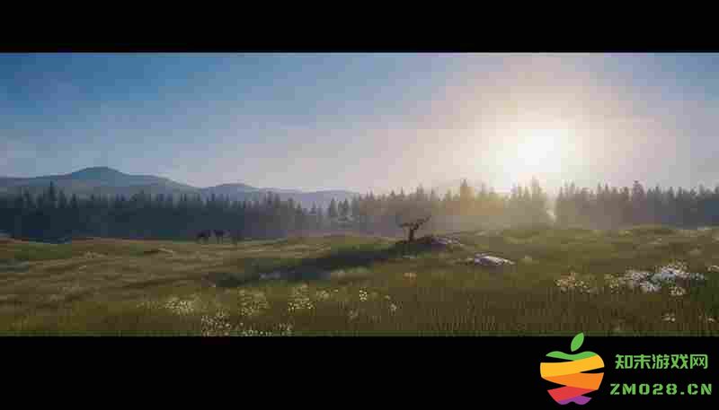 荒野大镖客：救赎平原与森林猎鹿点位对比