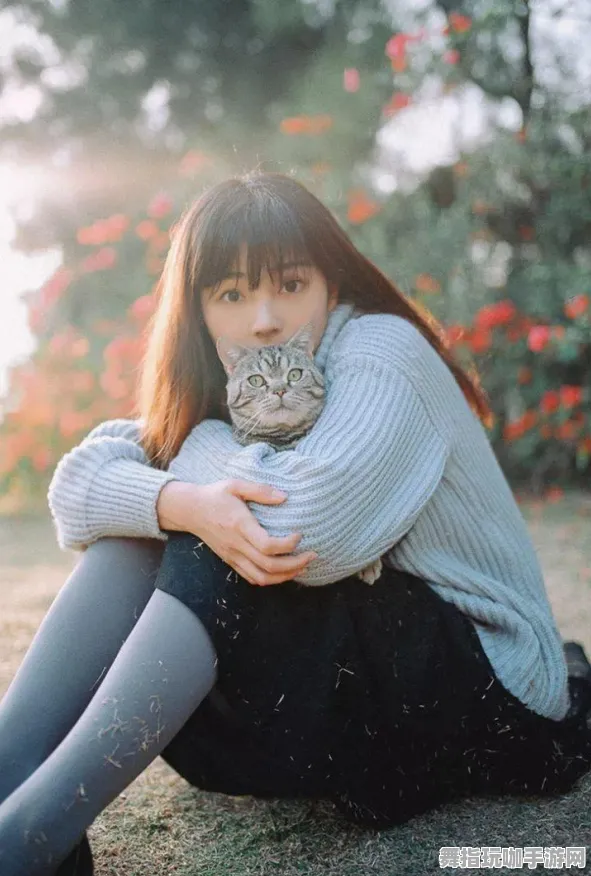 《极限竞速：地平线5》天梯排名-2025春季最新优化-Vision Pro适配-塔防-职业进阶