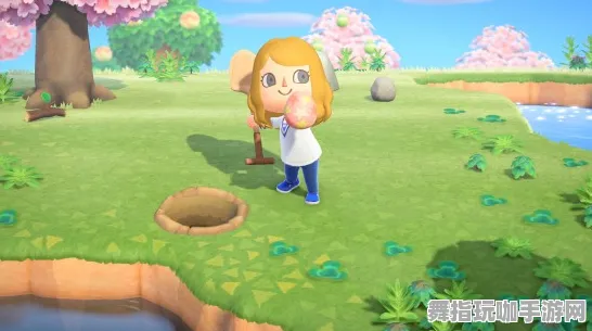 《动物森友会》手柄适配-2025春季最新优化-Steam Deck-塔防-速通技巧