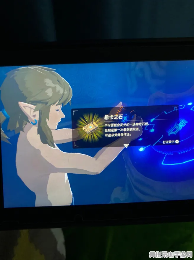 《塞尔达传说》成就系统-实时更新-每日热修-任天堂Switch-动作冒险