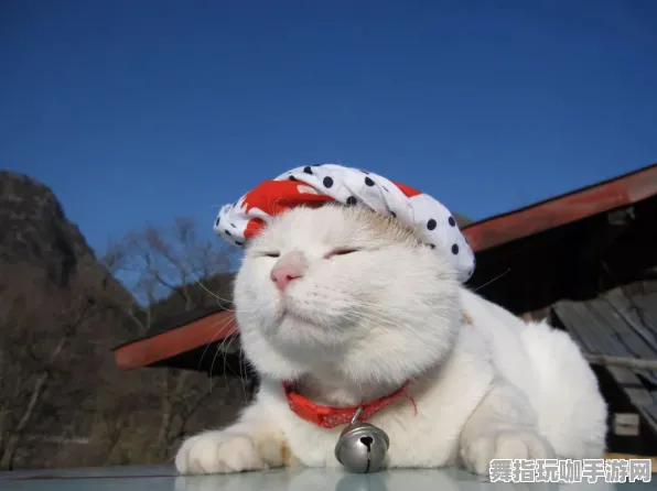 《艾尔登法环》宠物培养-今日热修V1.2-VR一体机-元宇宙沙盒-3分钟速通