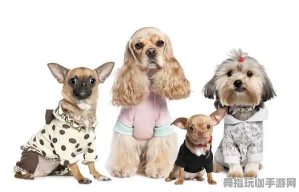 《艾尔登法环》宠物培养-今日热修V1.2-VR一体机-元宇宙沙盒-3分钟速通