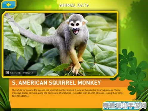 《动物森友会》宠物培养-2025春季最新优化-网页端-动作冒险-隐藏任务解析