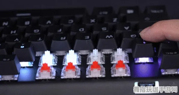 《APEX英雄》资源采集路线-实时更新-每日热修-网页端-体感交互