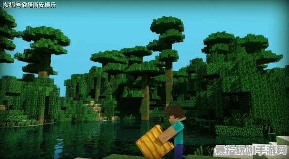 《我的世界》联机延迟-2025春季最新优化-亚马逊Luna-音游