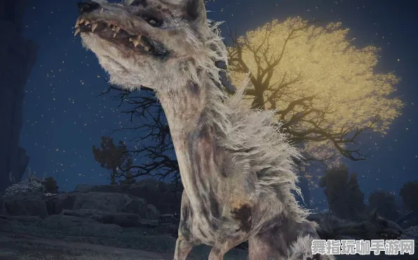 《艾尔登法环》宠物培养-2025春季最新优化-鸿蒙系统-赛车竞速-3分钟速通