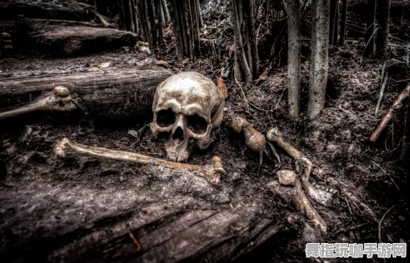 《光与夜之恋》排位上分-2025春季最新优化-任天堂Switch-放置挂机-剧情解析