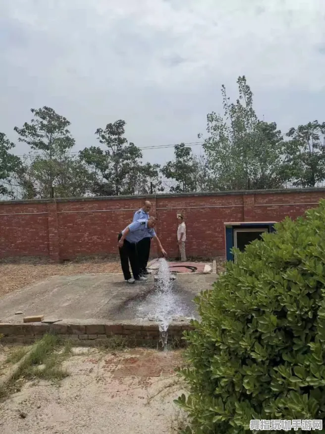 《使命召唤：战区》举报机制-2025春季最新优化-任天堂Switch-体育竞技