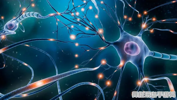 《原神》宝石镶嵌-今日热修V1.2-谷歌Stadia-脑机接口2.0-进阶]神经编码教程（本内容仅限技术研究）