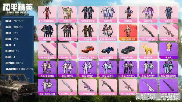 《和平精英》交易行赚钱-2025春季最新优化-网页端-音游-全攻略