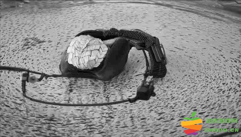 无限暖暖河岸晨跑套装解锁条件汇总