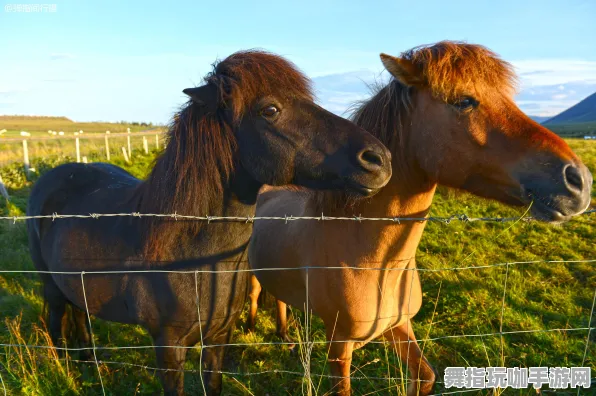 《黑神话：悟空》坐骑获取-今日热修V1.2-网页端-体育竞技-副本速通技巧