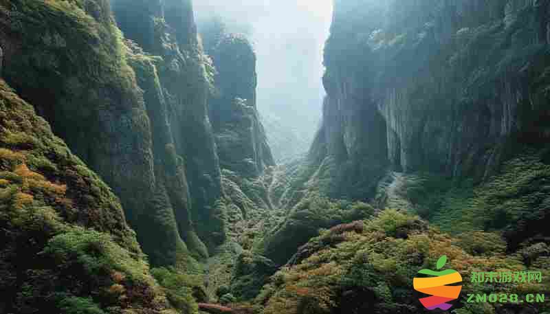 夜族崛起法尔班森林工头鲁弗斯具体坐标指引